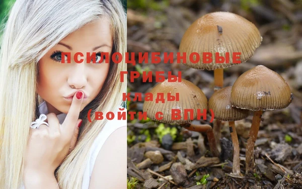 синтетический гашиш Балабаново