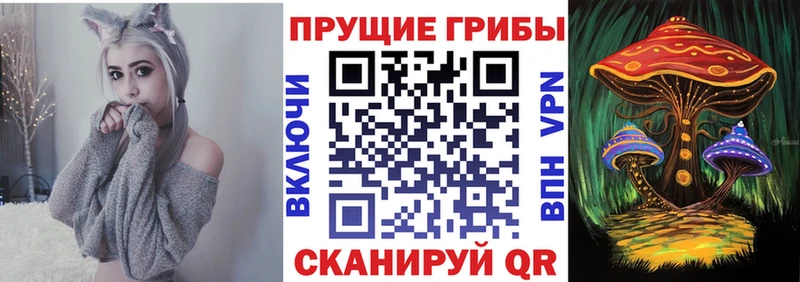 Купить где  Лабинск  Галлюциногенные грибы GOLDEN TEACHER 